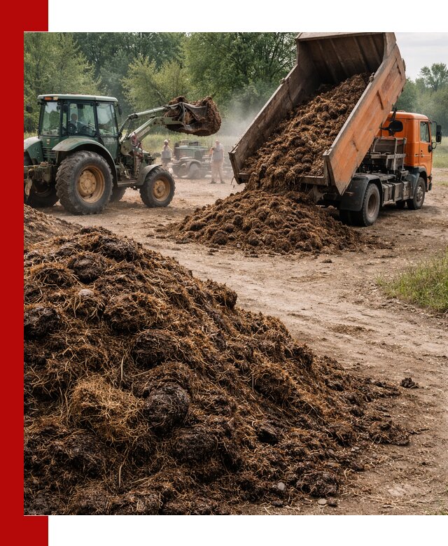 Доставка навоза самосвалами в Энгельс для сельхозпотребностей