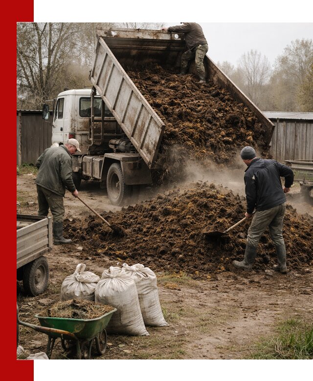 Доставка коровьего навоза самосвалом в Энгельс
